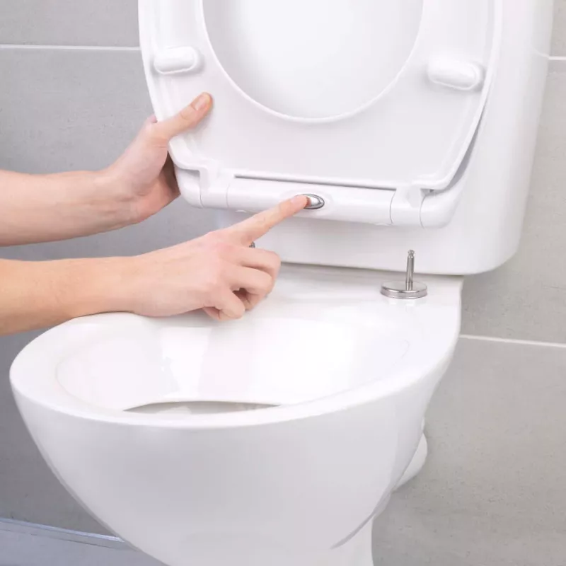 Beldray LA037062PEU7 Anti-bac Quick-release Toilet Seat, White