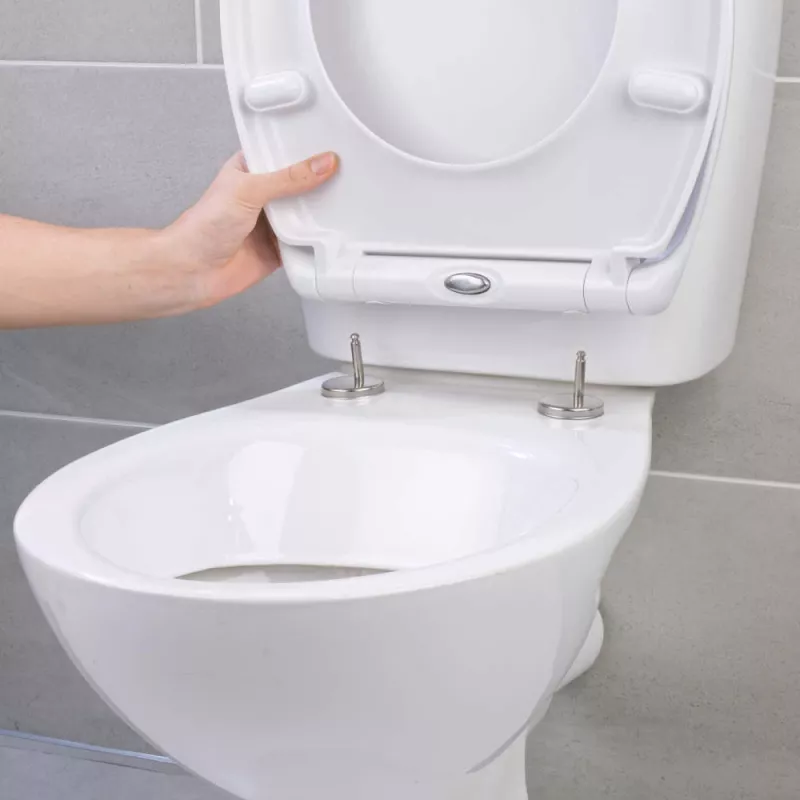 Beldray LA037062PEU7 Anti-bac Quick-release Toilet Seat, White