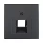 Berker 1407 16 06 Keskmine plaat UAE (RJ45) pistikupesa jaoks, 2-kohaline, antratsiit (55x55mm)