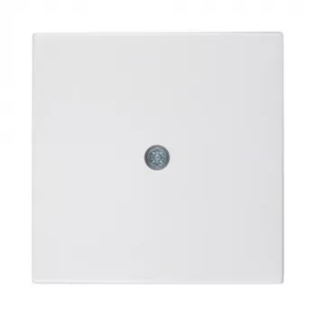 Berker keskplaat kaabli väljundile, polaarmust (55x55mm, IP20, süvistatav) - 10198989