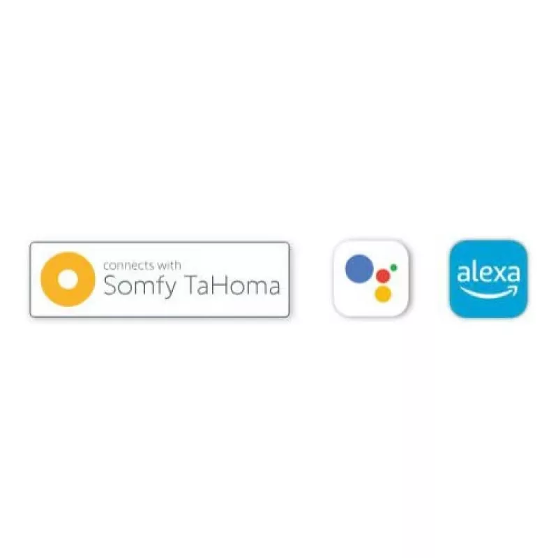 BFT B-EBA Wi-Fi EVO ühenduvusmoodul koos antenniga (Bluetooth/easyAXS/TaHoma)