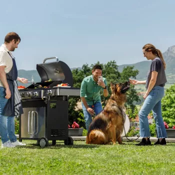Black+Decker BXOG12950E Gaasigrill, 3 põletit