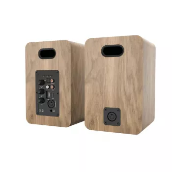 Blaupunkt BS50OK kahesuunaline põrandakõlar 50W RMS pruun