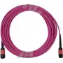 BlueOptics Infortrend 9370FC40GCAB1-0030 MPO-MPO Multi-mode OM4 Patch Cable 2 Meter