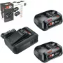 Bosch 18V Starter Set 2 x 2.5 Ah Akud + AL 18V-44 Laadija (1600A031T5)
