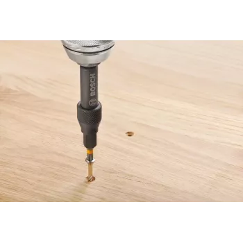 Bosch 2607002786 20-osaline kruvikeeraja otsikute komplekt magnetilise universaalhoidikuga, 25 mm S2 terasest otsikud Phillips, Pozidriv, pilu-, Torx ja kuuskantprofiilidele