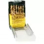 Bosch 2607017154 HSS-i keerdpuuride komplekt 25-osaline TiN-kattega silindrilise varrega