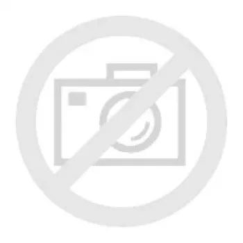 BOSCH GMP 1-13 niiskusmõõtur 601078000