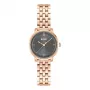 BOSS Women's 1502820 Quartz Watch 28mm Stainless Steel Mesh Silver
