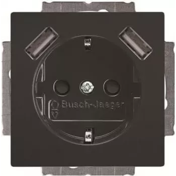 BUSCH-JAEGER BJ 20 EUCB2USB-81 SCHUKO pistikupesa 2 USB portiga, Alpine White 2CKA002011A6267