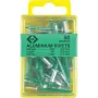 C.K Tools T3819A 508 pimeneedid 4,8 x 19 mm alumiinium/teras ümarpea (50 tk)