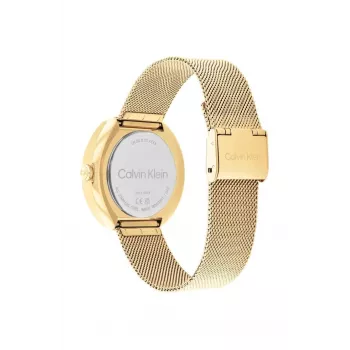 CALVIN KLEIN Naiste kell Minimal Extension 25200339 38.5 mm hõbedane roostevabast terasest võrkrihm