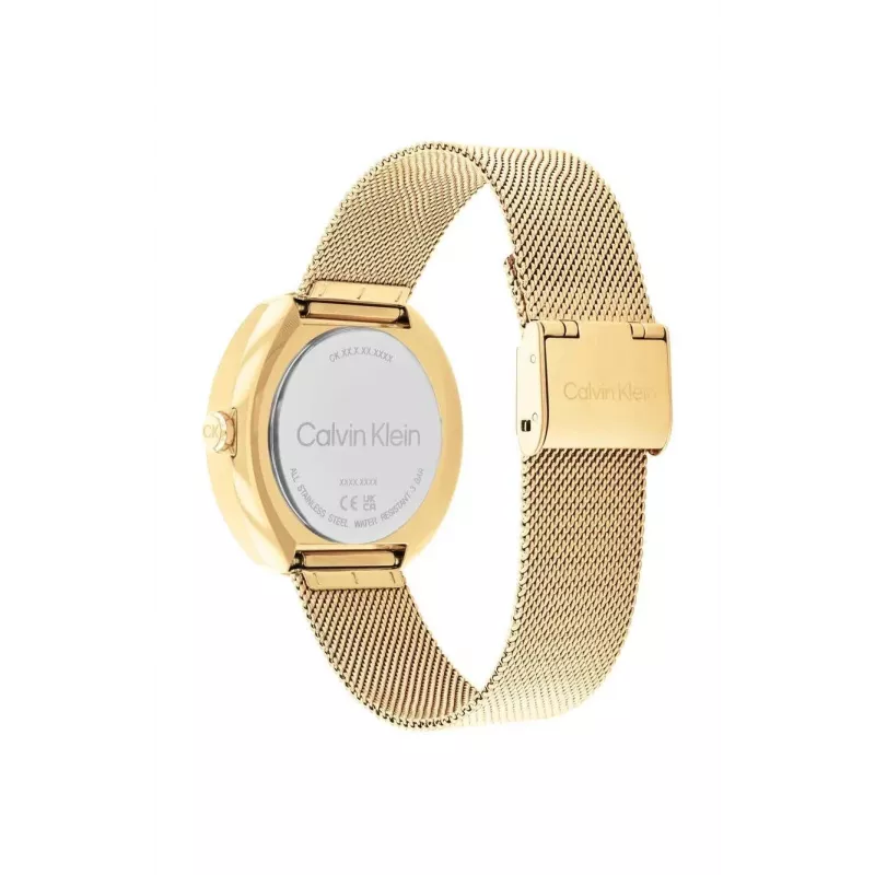 CALVIN KLEIN Naiste kell Minimal Extension 25200339 38.5 mm hõbedane roostevabast terasest võrkrihm