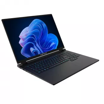 Captiva Entry Gaming I10-4465GE 18-tolline sülearvuti - Intel Core i7-14650HX, GeForce RTX 5060 8GB, 16GB RAM, 1TB SSD, Windows 11 Home
