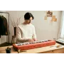 Casio CT-S1 61 klahviga digitaalsüntesaator punane