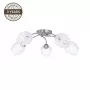 Ceiling Lamp CL17061-5 5x60W E27 Chrome Modern Round