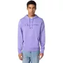 Champion meeste kapuutsiga dressipluus lilla 220782 VS024 suurus M