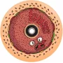 Chubby Wheel 110mm Red Donut - Freestyle Tõukeratta Ratas ABEC-9 Laagritega