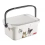 CURVER Multiboxx 3L hoiukarp kaanega ja käepidemega, kassi ja koera disain, läbipaistev trükisega, 26x18x11cm
