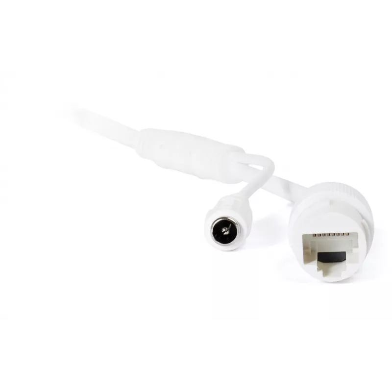 DAHUA H2C 2MP PT IR dome-kaamera Wi-Fi kaamera kahesuunalise heliga