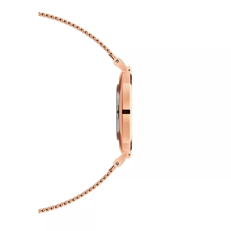 DANIEL WELLINGTON Classic Petite Naiste Kell 36mm Roosakuldne Roostevabast Terasest Võrk DW00100303