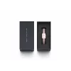 DANIEL WELLINGTON Petite Lumine naiste käekell 20mm roosakuldne roostevabast terasest võrkrihmaga, pärlmutter sihverplaat DW00100509