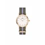 DANIEL WELLINGTON Petite Lumine naiste käekell 28mm kuldne roostevabast terasest võrk DW00100680