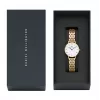 DANIEL WELLINGTON Petite Lumine naiste kell 28mm roosakuldse võrgust rihmaga DW00100682