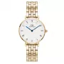 DANIEL WELLINGTON Petite Lumine naiste kell 28mm roosakuldse võrgust rihmaga DW00100682