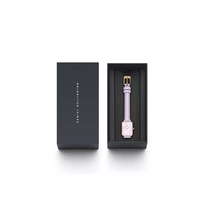 DANIEL WELLINGTON Petite Lumine naiste kell DW00100637 20mm hõbedane võrk