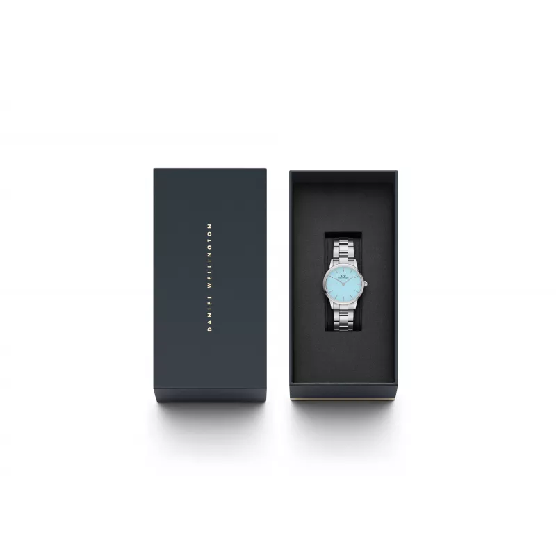 DANIEL WELLINGTON Petite naiste kell 28mm kuldne mesh DW00100540