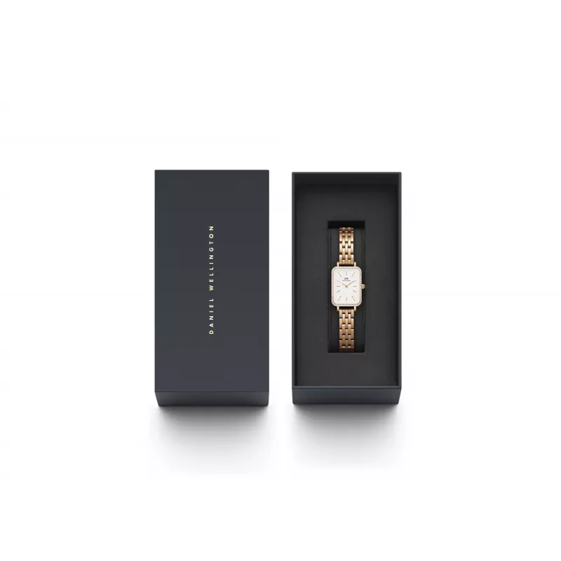 DANIEL WELLINGTON Naiste Kell DW00100672 20mm Roosakuldne Roostevabast Terasest Võrk
