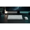 Dark Project ALU81A Terra Nova White mehaaniline klaviatuur, G3MS Moonstone lüliti, US ANSI