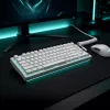 Dark Project ALU81A Terra Nova White mehaaniline klaviatuur, G3MS Moonstone lüliti, US ANSI
