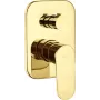 DEANTE Peidetud Dušisegisti Dušilülitiga, Must Matt, Messing, Arnika Seeria