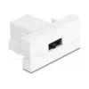 Delock Easy 45 moodul EASY-USB 2.0 Type-A emane EASY-USB Type-A emane valge 90866