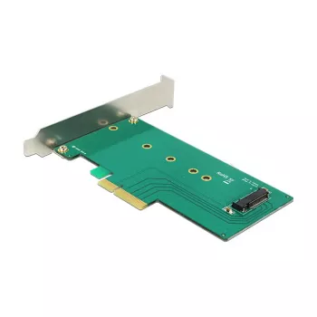 Delock PCI Express x4 kaart 1 x sisemisele NVMe M.2 Key M 110 mm - Low Profile vormitegur