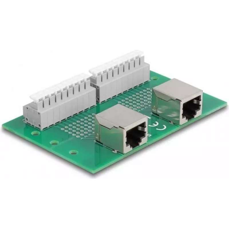 Delock RJ45 2 x emane 2 x klemmplokile koos surunupuga DIN-liinile (66994)