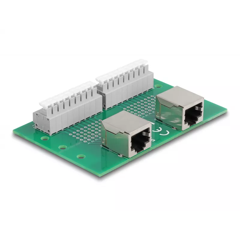 Delock RJ45 2 x emane 2 x klemmplokile koos surunupuga DIN-liinile (66994)