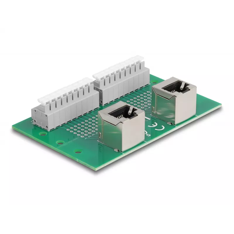 Delock RJ45 2 x emane 2 x klemmliistule push-nupuga DIN-liinile nurga all (66995)