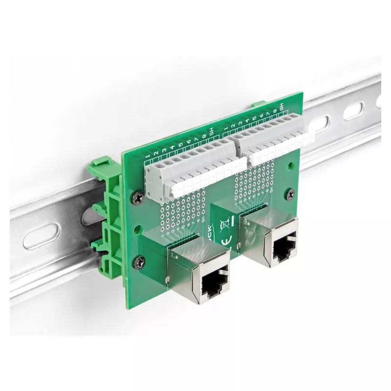 Delock RJ45 2 x emane 2 x klemmliistule push-nupuga DIN-liinile nurga all (66995)