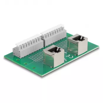Delock RJ45 2 x emane 2 x klemmliistule push-nupuga DIN-liinile nurga all (66995)