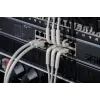 DIGITUS CAT 6A F/FTP Angled RJ-45 Patch Cable, Vask, 0.3 m, Hall, 10-Pack