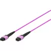DIGITUS OM4 MPO-MPO 12-kiuline ühenduskaabel, 2m, meetod A, violetne DK-2566-02/4