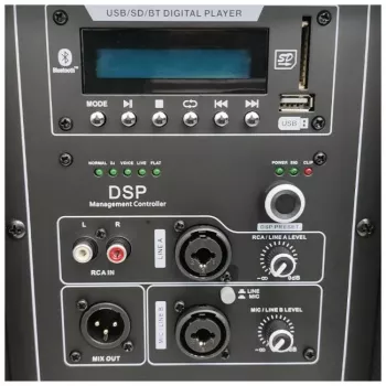 DNA PROFESSIONAL DNA SPX15 DSP Active Loudspeaker 15