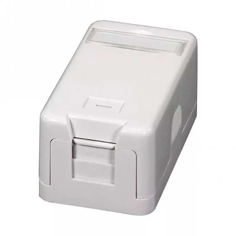 EFB ET-25166 pealepandav Keystone pesa, 1-port, isesulguv tolmu kaitseklapp, puhtvalge