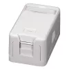 EFB ET-25166 pealepandav Keystone pesa, 1-port, isesulguv tolmu kaitseklapp, puhtvalge