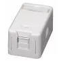 EFB ET-25166 pealepandav Keystone pesa, 1-port, isesulguv tolmu kaitseklapp, puhtvalge