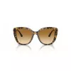 EMPORIO ARMANI Naiste Kassiprilli Päikeseprillid EA4214U60593B Läbipaistev Pruun Raam Pruun Gradient Lääts 54/18/140 mm