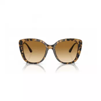 EMPORIO ARMANI Naiste Kassiprilli Päikeseprillid EA4214U60593B Läbipaistev Pruun Raam Pruun Gradient Lääts 54/18/140 mm